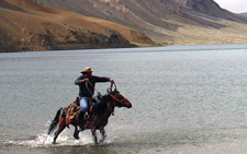 India-Ladakh-Himalaya Horse Safari